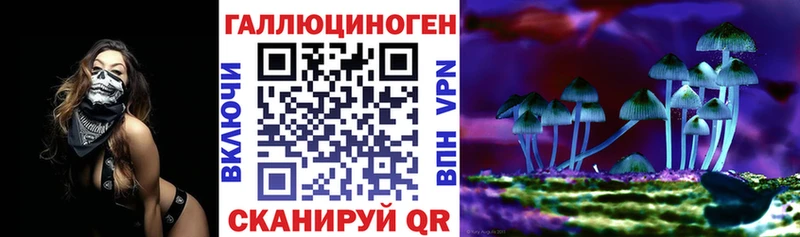 Псилоцибиновые грибы Psilocybe МЕГА зеркало Ясногорск