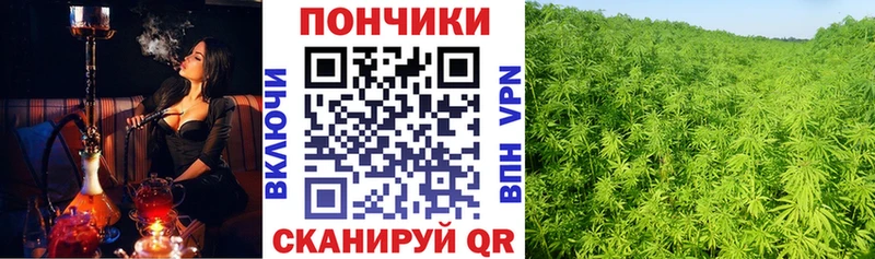 Шишки марихуана марихуана  где купить наркоту  Ясногорск 